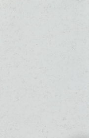 CARRARA GOLD
