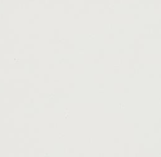 Artic White