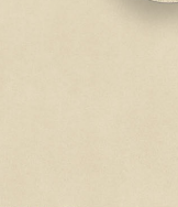 FROST BEIGE