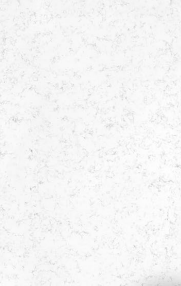 CARRARA DARK