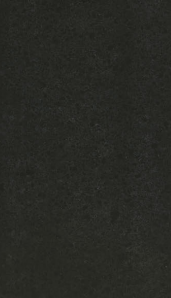 FOSSIL BLACK