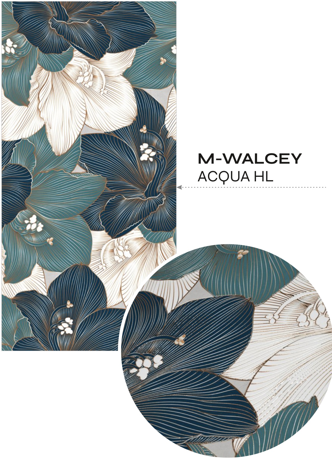 M-walcey acqua-HL
