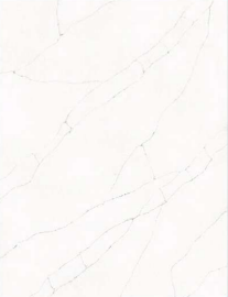 Calacatta Maria Gold