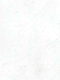 Calacatta Raphael Grey